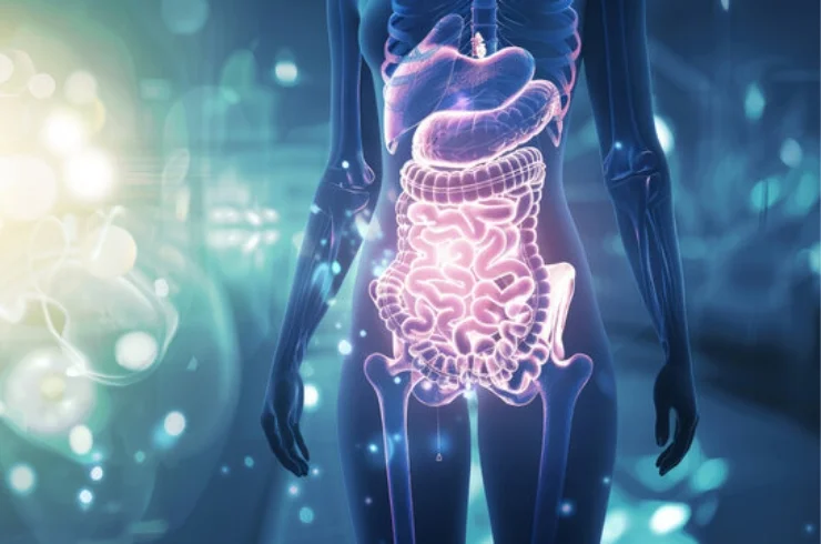 Gastroenterology,